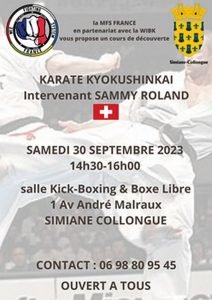 Karaté Kyokushinkai stage MFS FRANCE