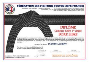 Cérémonie de remise de ceintures en boxe libre à la Fédération Mix Fighting System France