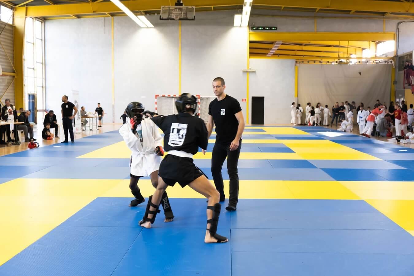 Formation d'arbitre en boxe libre agréée