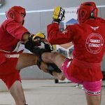 Développez votre club de kickboxing avec Mix Fighting System France