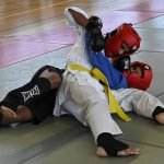 Adhésion à la fédération Mix Fighting System France pour les clubs de K-1