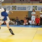 Adhésion à Mix Fighting System France pour les clubs de pankration