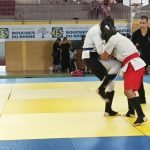 Programme d'adhésion pour associations d'aikido avec Mix Fighting System France