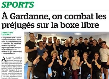 Affiliation pour clubs de systema avec Mix Fighting System France