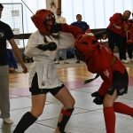 Mix Fighting System France : avantages pour les clubs de self-défense