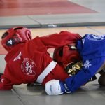 Adhésion à Mix Fighting System France pour les clubs de self-défense