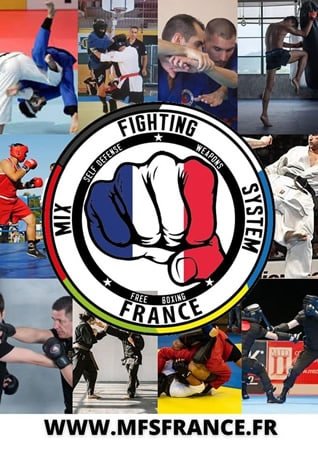 Formation arbitrage boxe libre