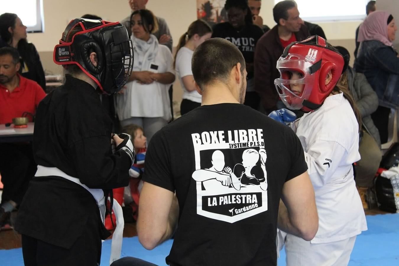 Programme d'adhésion pour clubs de hapkido avec Mix Fighting System France