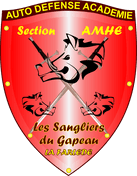 Techniques de combat avec armes anciennes à la MFS-FRANCE