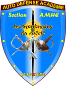 Entraînement avec armes modernes à la MFS-FRANCE