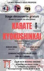 Karaté Kyokushinkaï